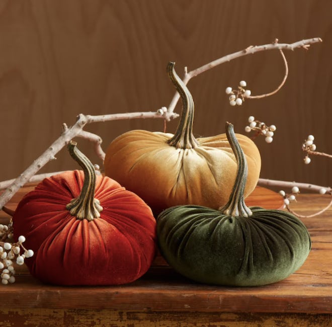 Velvet pumpkins for Thanksgiving decorations