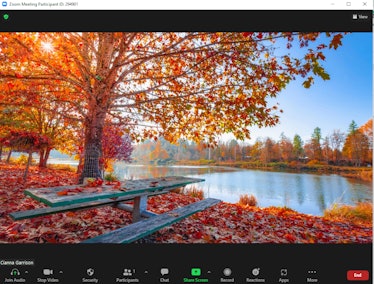 These fall Zoom backgrounds include a pretty lakeside picnic.