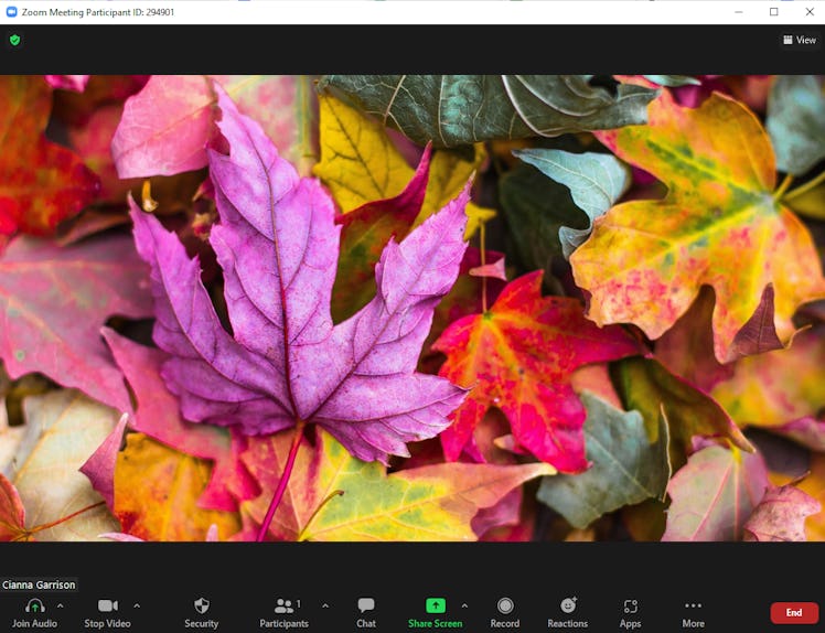These fall Zoom backgrounds include beautiful red and orange leaves.