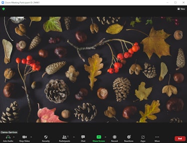 These fall Zoom backgrounds include pinecones and fallen leaves.