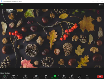 25 Fall Zoom Backgrounds For Autumnal AF Video Calls