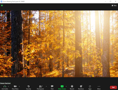 Fall Chat Background 25 Fall Zoom Backgrounds For Autumnal AF Video Calls