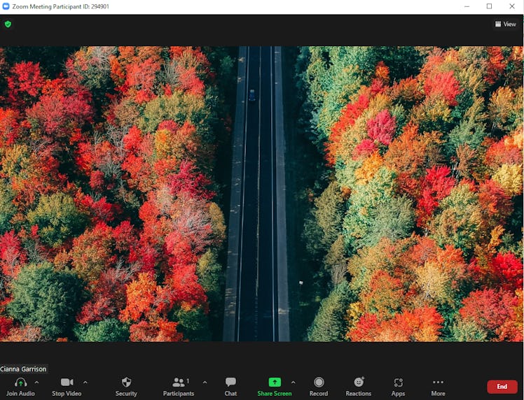 These fall Zoom backgrounds include a pretty autumn drive.