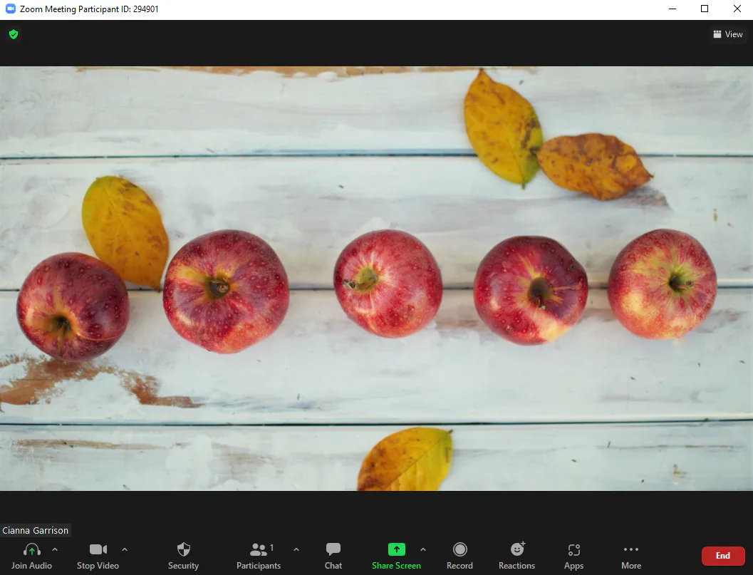 25 Fall Zoom Backgrounds For Autumnal AF Video Calls