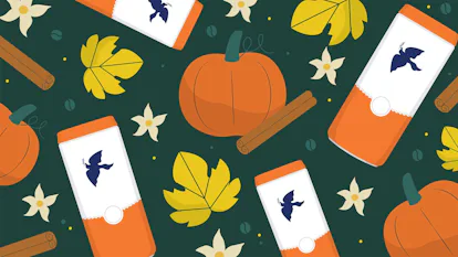 Fall Chat Background 25 Fall Zoom Backgrounds For Autumnal AF Video Calls