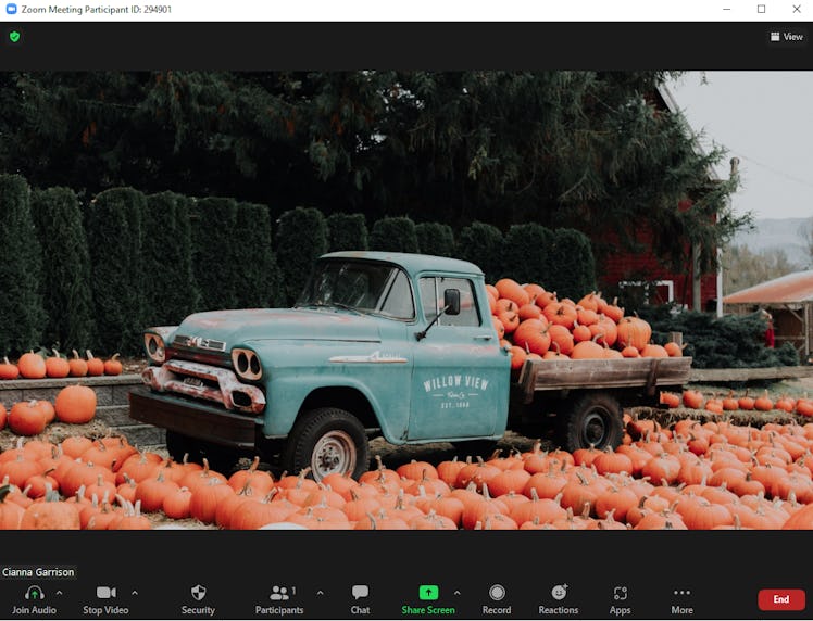 These fall Zoom backgrounds include the cutest pumpkin patch.