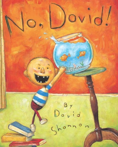 The book No, David