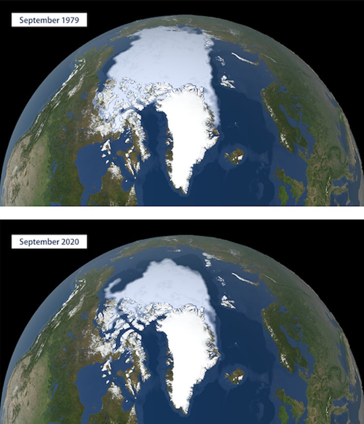 sea ice loss change