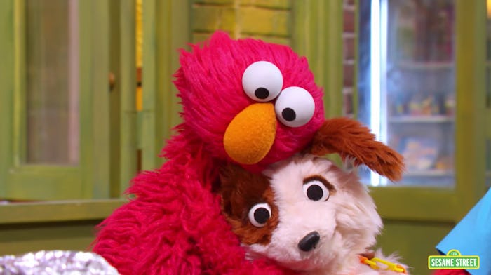 Season 52 of Sesame Street will introduce Elmo's new pet puppy.