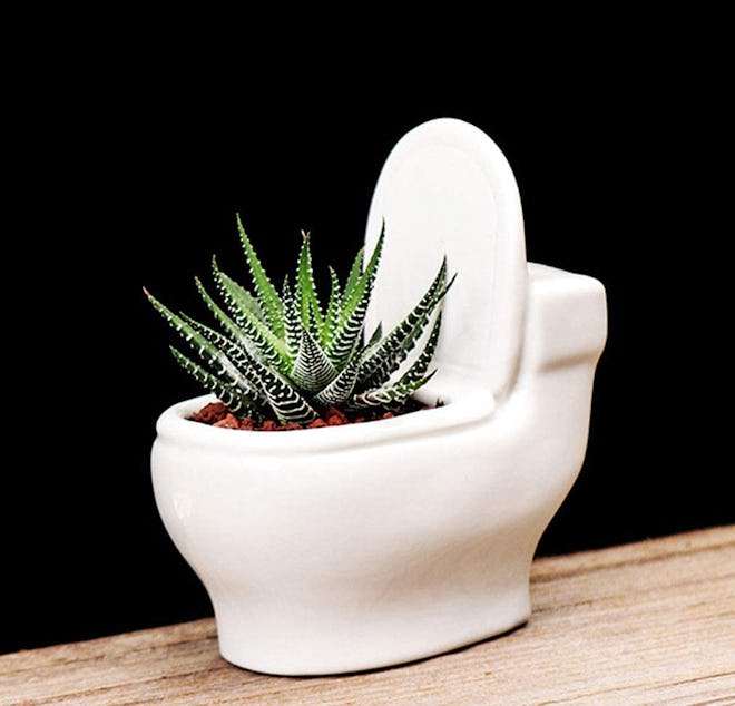 MONMOB Ceramic Toilet Planter