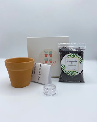 Cactus Grow Kit