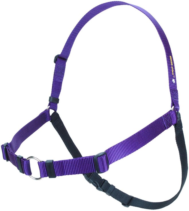 Softouch Sense-ation No-Pull Dog Harness