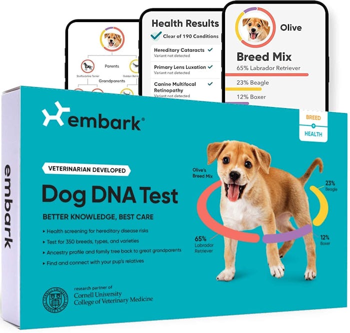 Embark Dog DNA Test