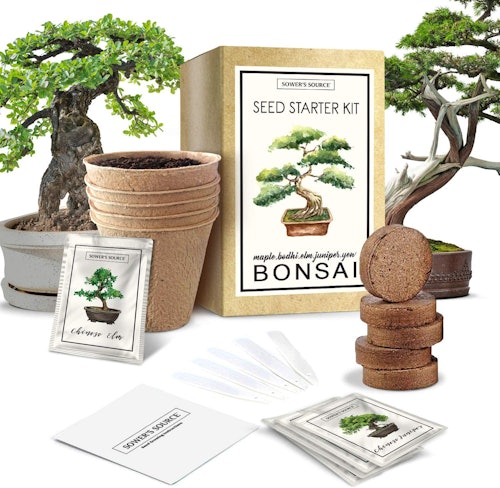 Sower's Source Bonsai Tree Starter Kit