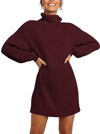 LOGENE Turtleneck Sweater Dress