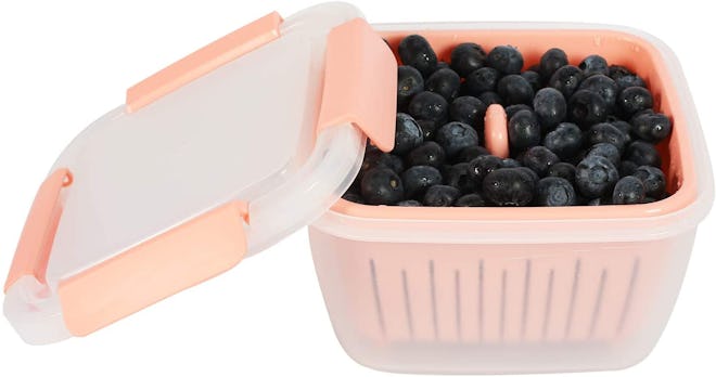 Shopwithgreen Berry Keeper Box Containers