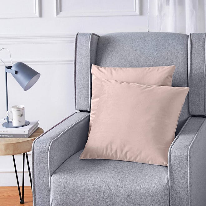 Amazon Basics Velvet Fleece Throw Pillows (2-Pack)