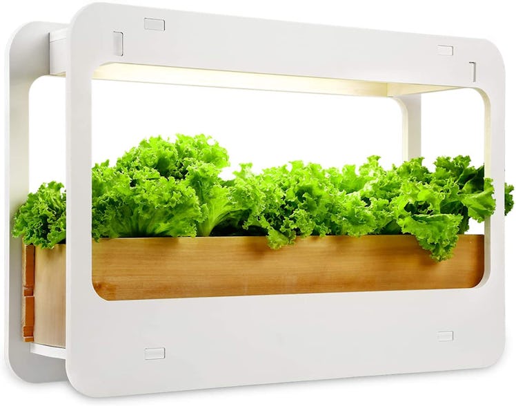 TORCHSTAR Indoor LED Garden