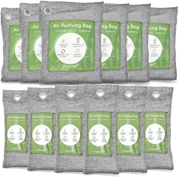 Vitscan Bamboo Charcoal Air-Purifying Bags (12-Pack)