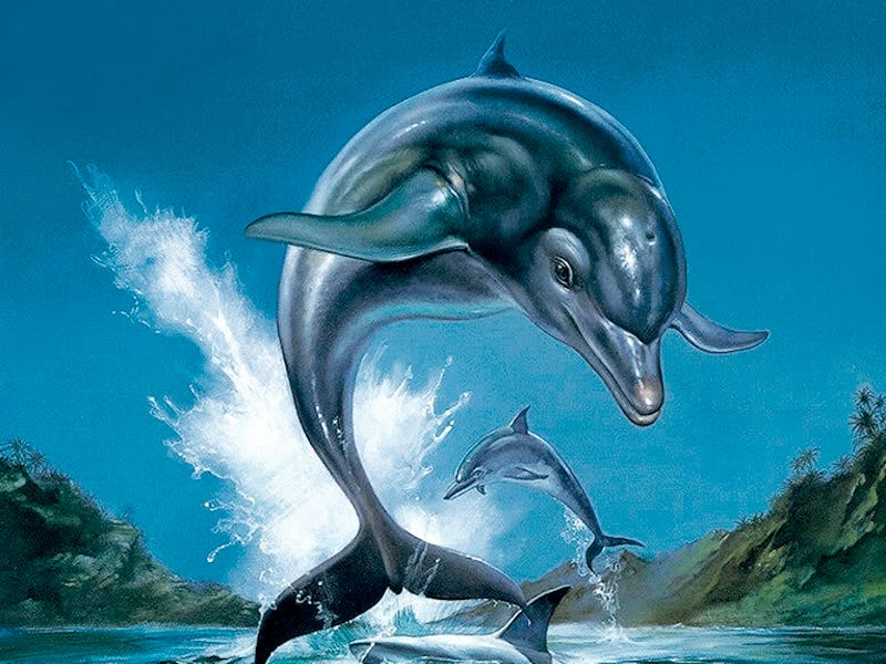 ecco the dolphin cover art