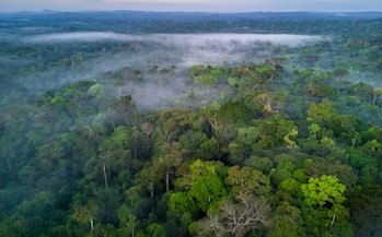 Una foto de un dron brasileño en la selva amazónica