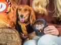 The PetSmart 'Harry Potter' collection has Hogwarts house robes and toys.