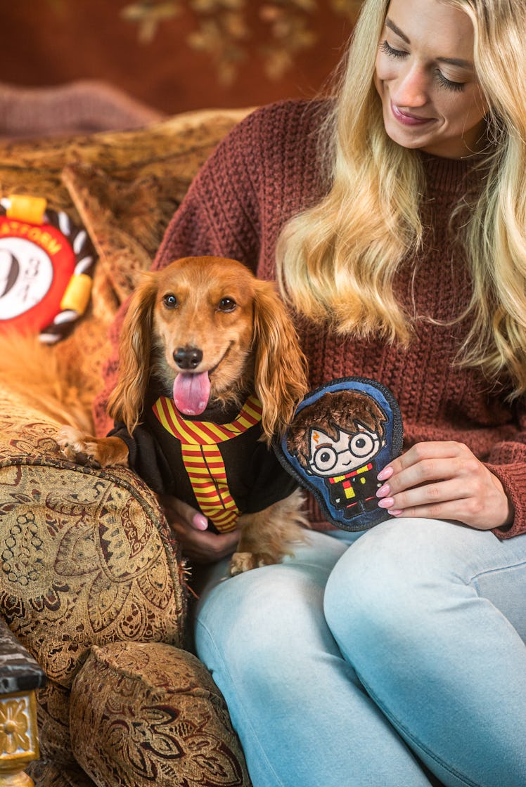 The PetSmart 'Harry Potter' collection has Hogwarts house robes and toys.