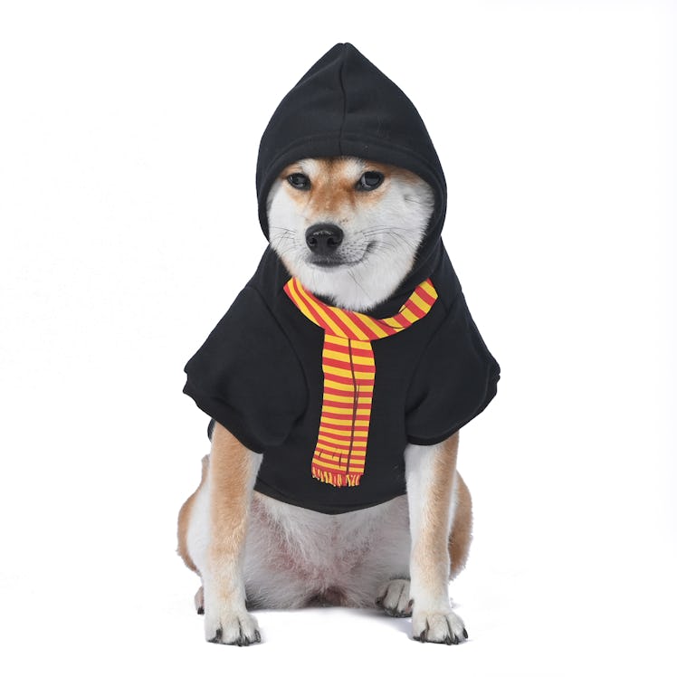 The Gryffindor robe hoodie is part of the PetSmart 'Harry Potter' collection. 
