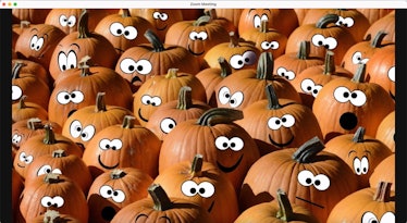 Delight your virtual guests with this funny Thanksgiving Zoom background.