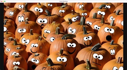 Delight your virtual guests with this funny Thanksgiving Zoom background.