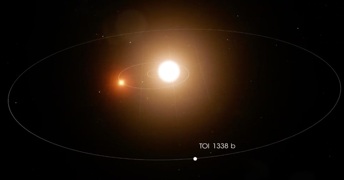 A rare planet orbiting two suns<br>