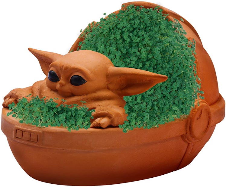 Star Wars The Child Chia Pet 