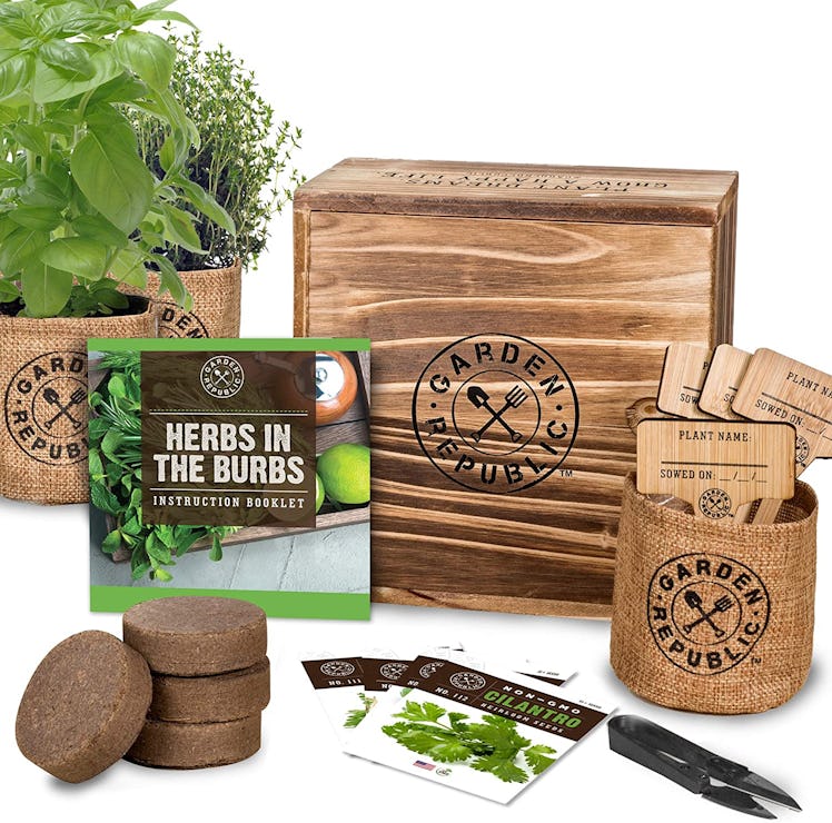 GARDEN REPUBLIC Indoor Herb Garden Starter Kit