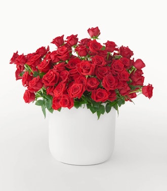 Ruby Reds rose bouquet 100 Stems from POMP flowers.