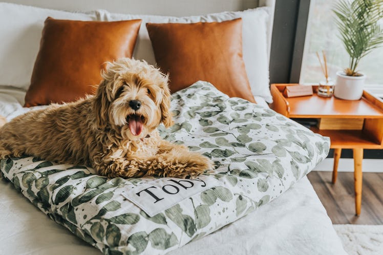 This dog bed will be on sale for the Etsy Cyber Week 2021 Sales Event. 