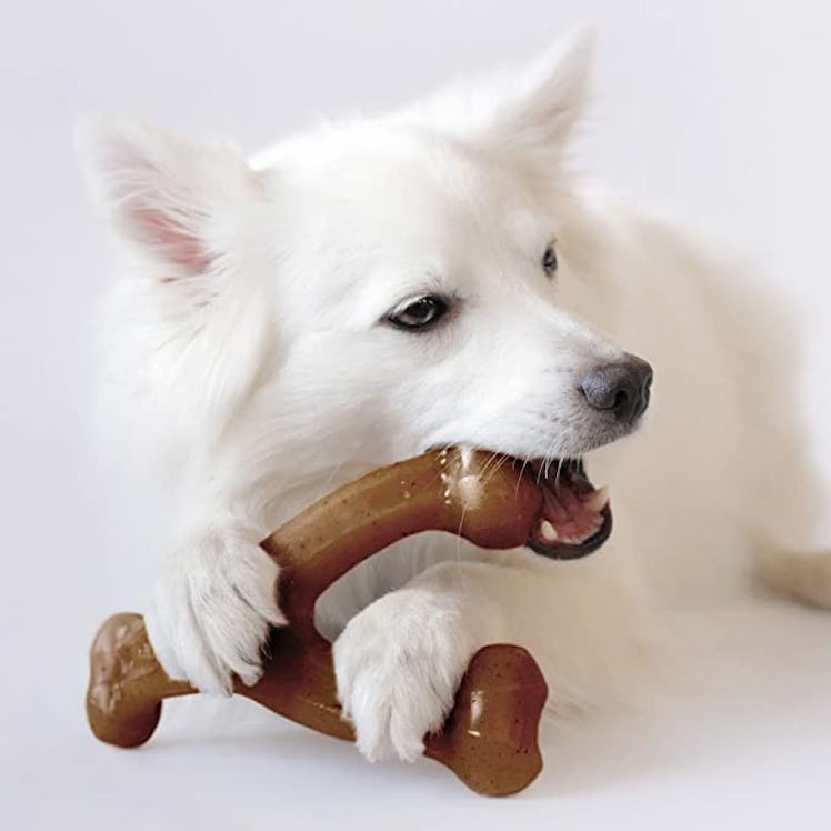 Benebone Wishbone Durable Dog Chew Toy