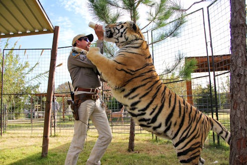 Joe Exotic takes a moment to feed one of his tigers.