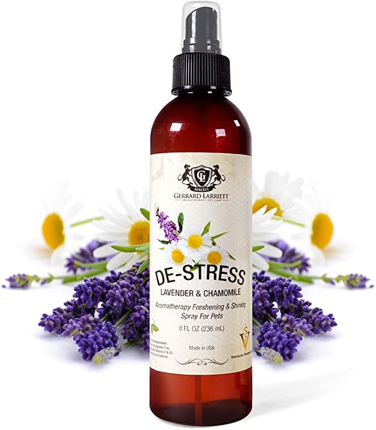 Gerrard Larriet Lavender & Chamomile Aromatherapy Freshening & Shining Spray for Pets
