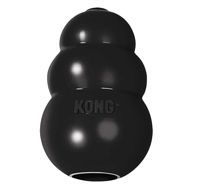 KONG Extreme Dog Toy