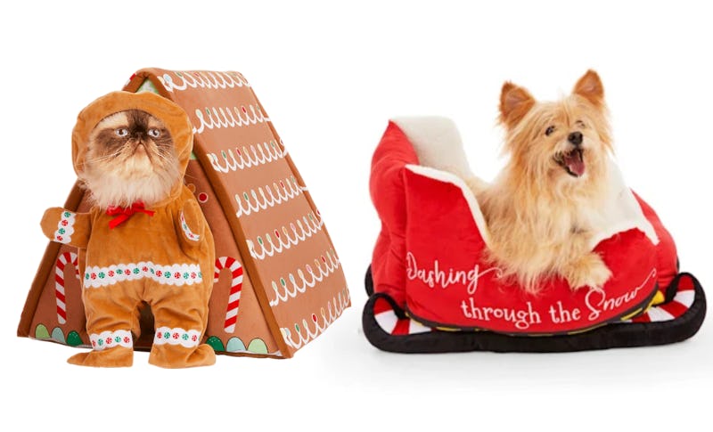 The Petco Black Friday 2021 Sale Includes 50 Off Holiday Products