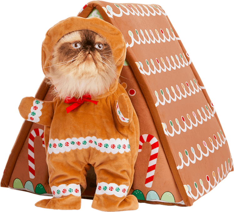 Petco's Black Friday 2021 sale includes holiday toys and clothes for dogs, cats, and all kinds of pe...