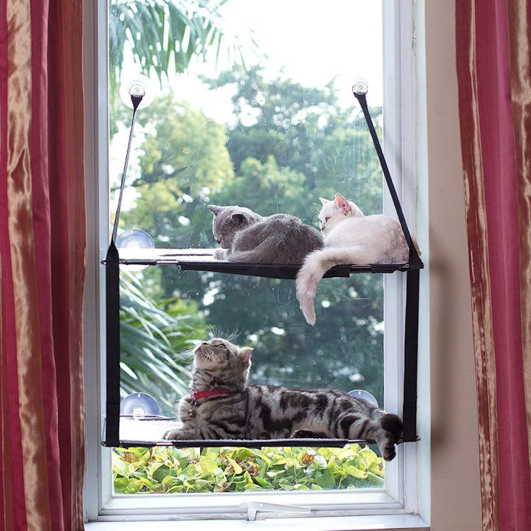 LIFIS Cat Window Perch
