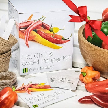 Plant Theatre Sweet & Hot Pepper Seeds Kit