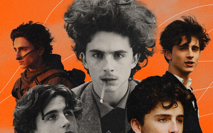 Timothee Chalamet movies ranked