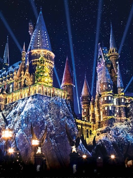 Universal Studios Harry Potter Honeydukes Ribbon Garland New with