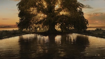 The Tree of Life from Izzi’s novel, The Fountain.
