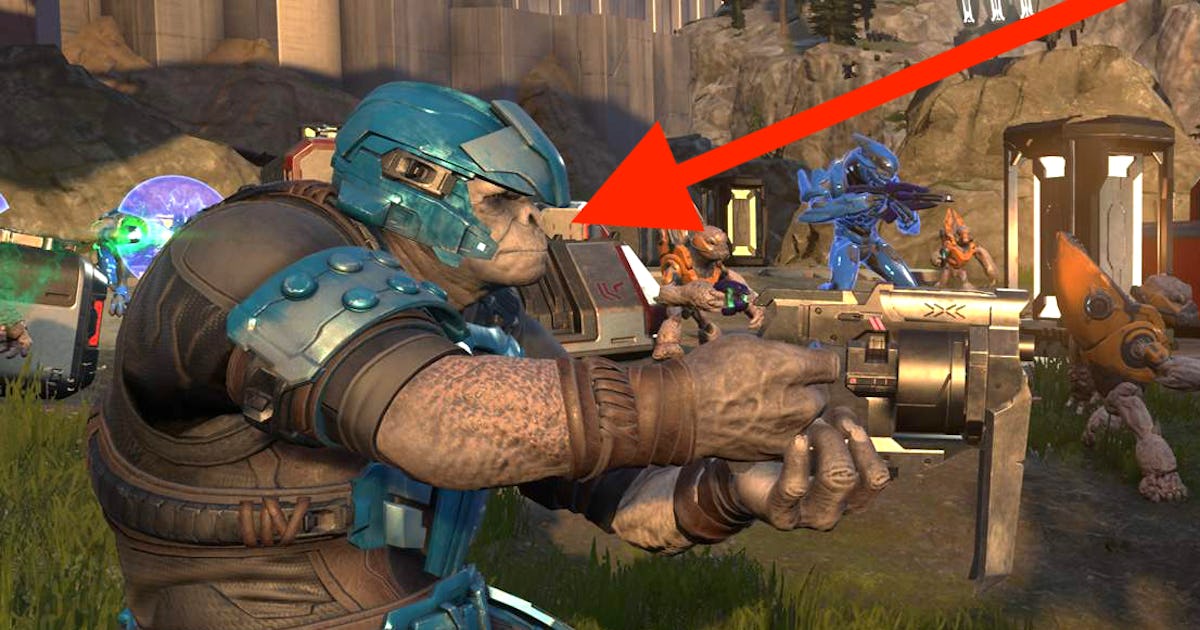 Halo Infinite is a prime example of why it's fun to make memes