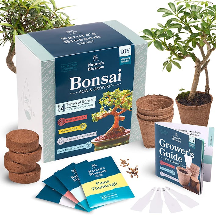 Nature's Blossom Bonsai Tree Kit