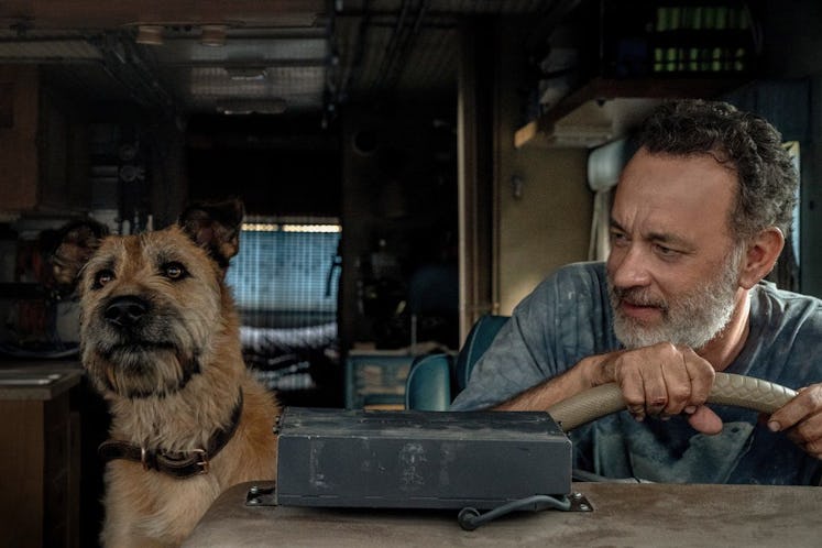 Tom Hanks and Goodyear the dog in Finch
