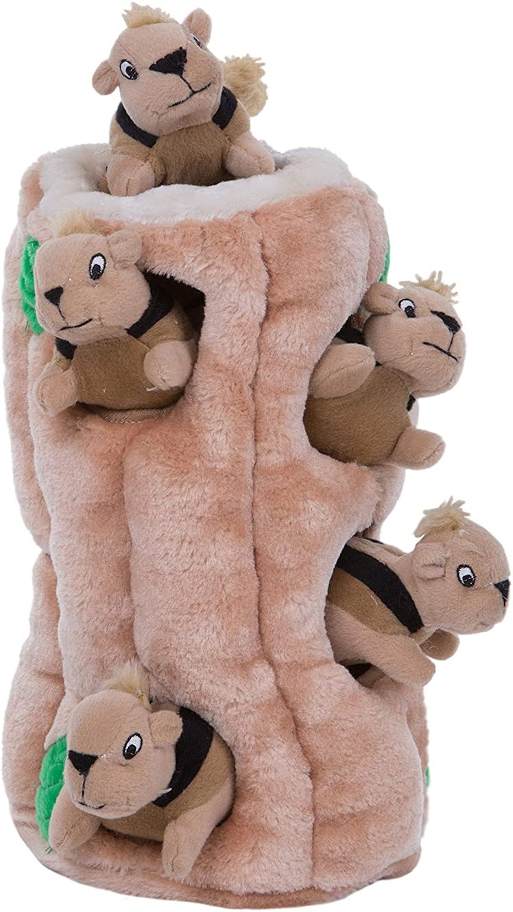 Outward Hound Hide-A-Squirrel Squeaky Puzzle Plush Dog Toy 